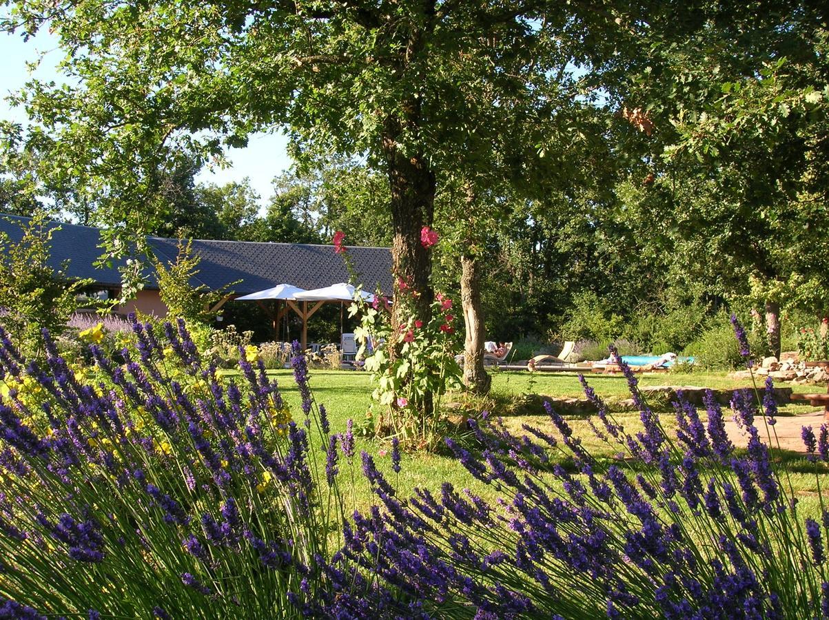 La Villa Des Pins Verrieres (Vienne) Exterior photo